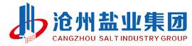 任丘市星宇汽車(chē)配件有限公司